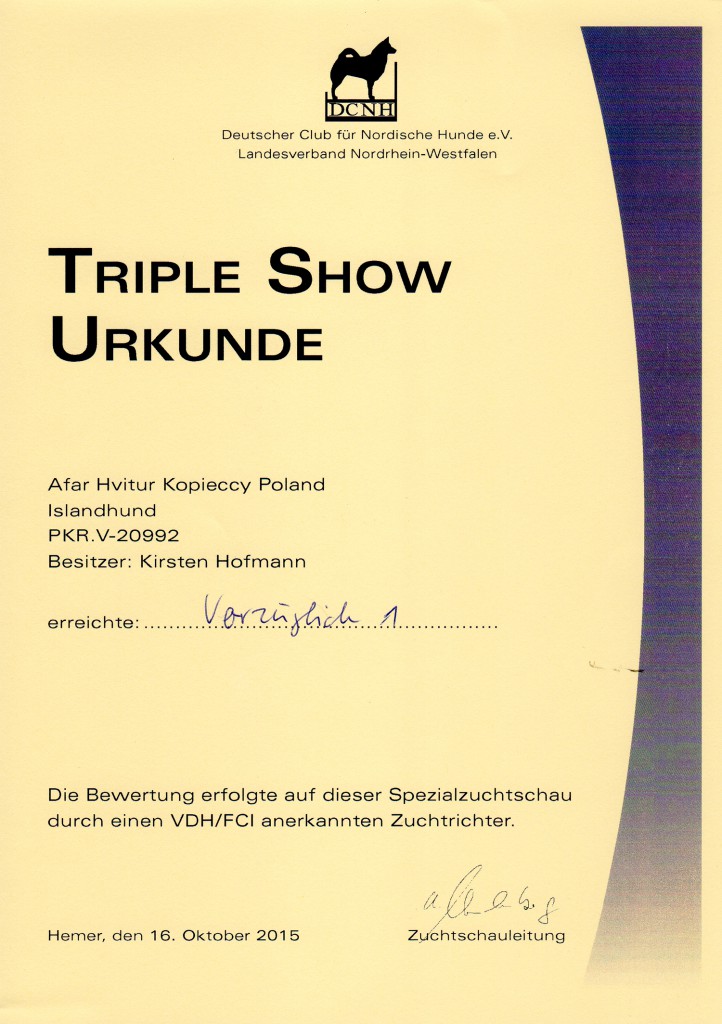 Triple-Show-Hemer-2015-Kari-Urkunde