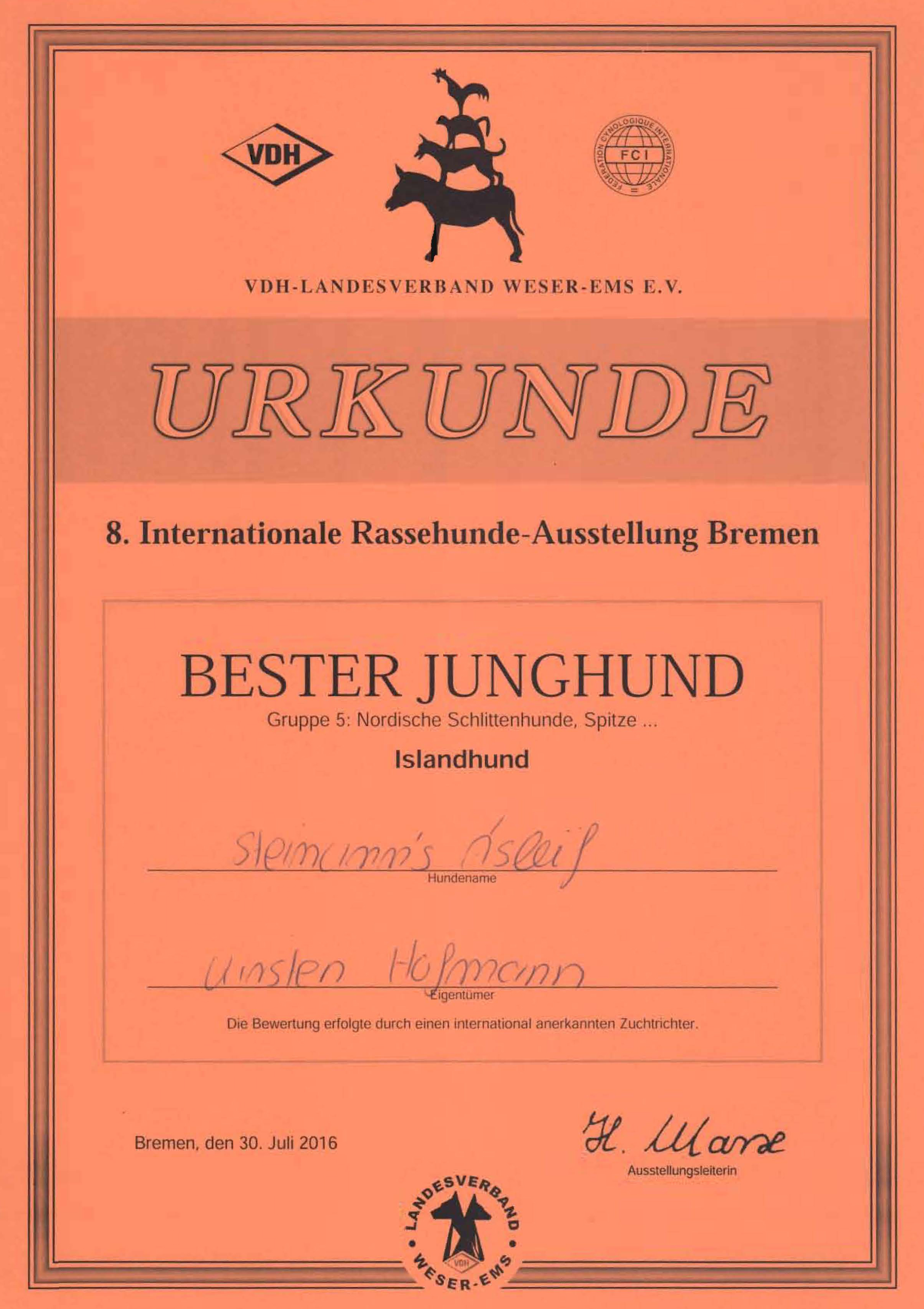 Show-International-Bremen-2016-Asleif-Bester-Junghund